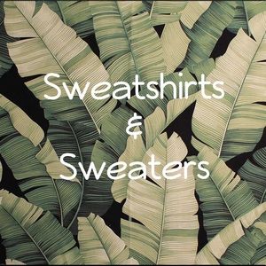 Sweaters Section